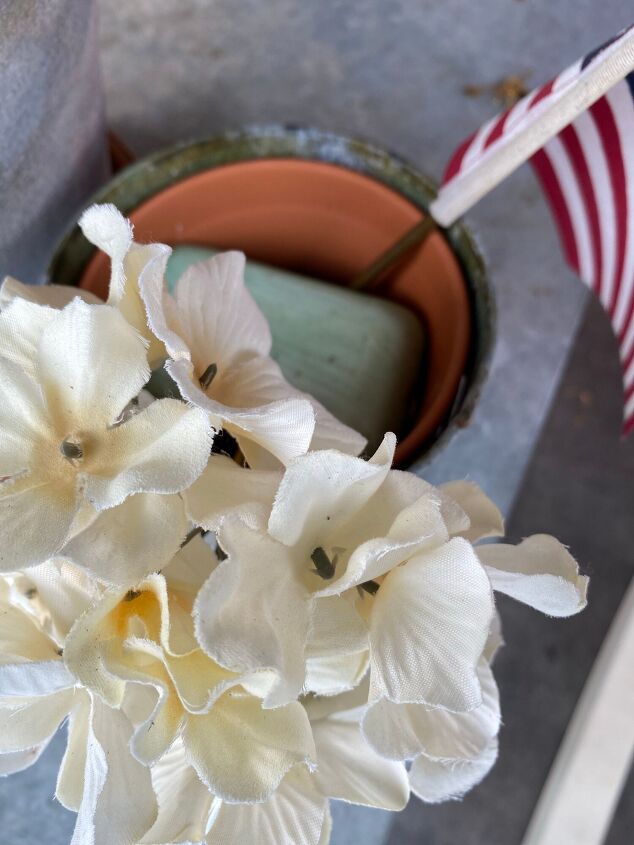 goodbye spiders flies