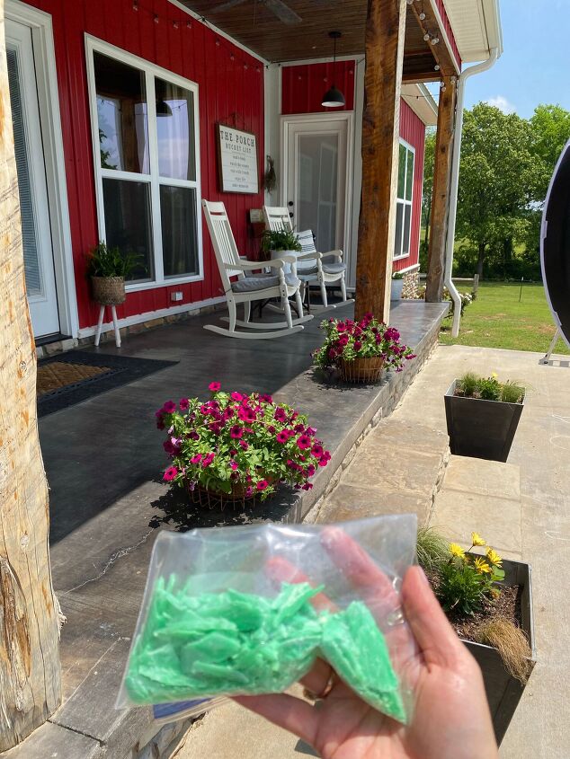 goodbye spiders flies