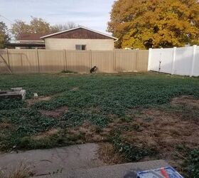 How to Repair Patchy Grass
