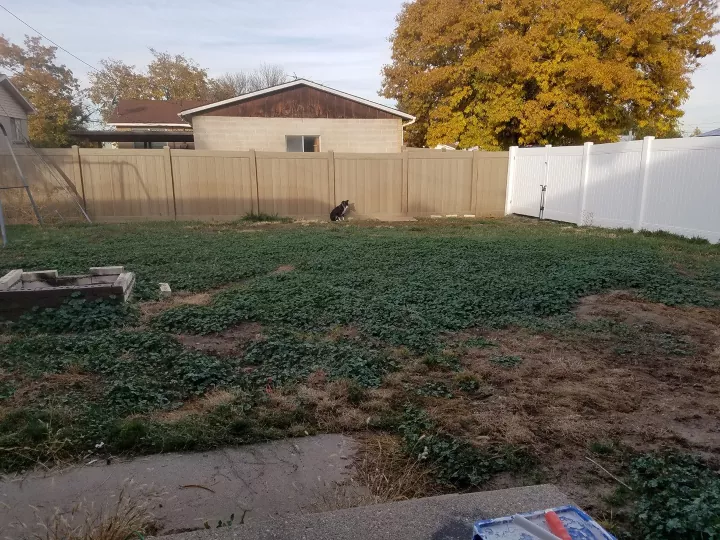 How to Repair Patchy Grass