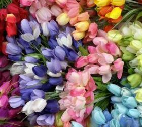 rainbow tulip wreath