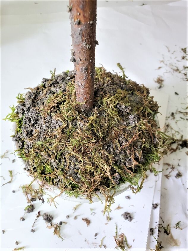 how to make a diy moss topiary in a pot