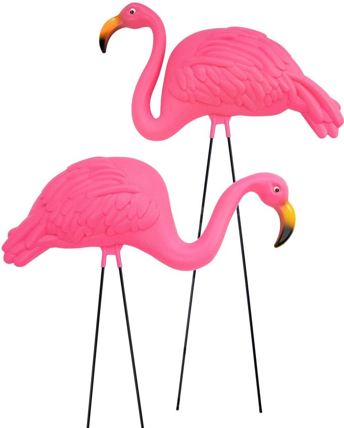 jardim de flamingos