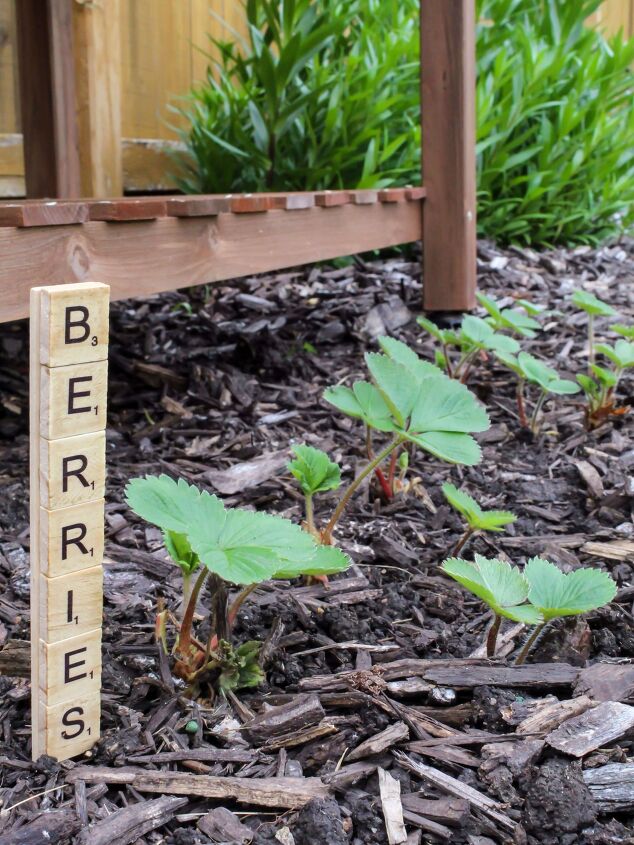 quick and easy diy garden markers