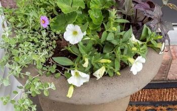 How To Create Beautiful Spring Planters In 4 Easy Steps