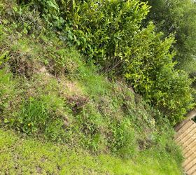 Clearing that weed-ridden flower bed isn't as impossible as it feels (do this!)