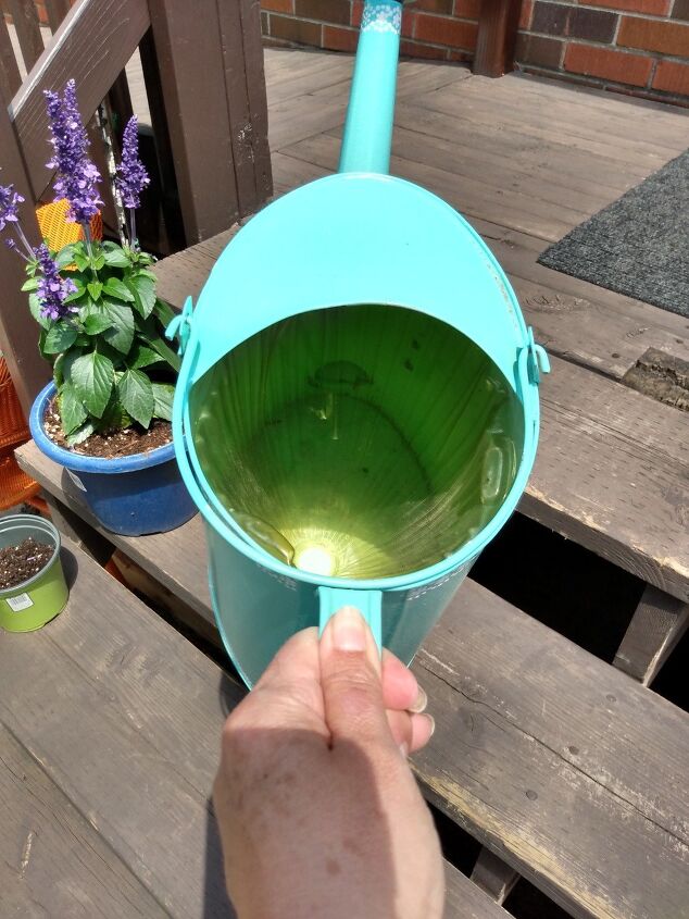 reviving an old watering can
