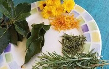 Growing and Crafting With Herbs