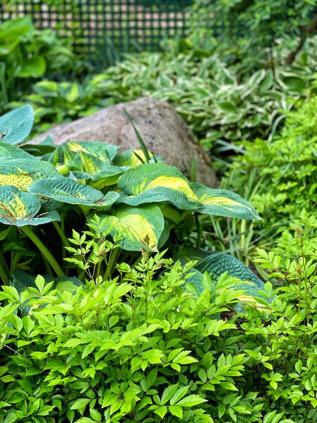 Homemade weed killer