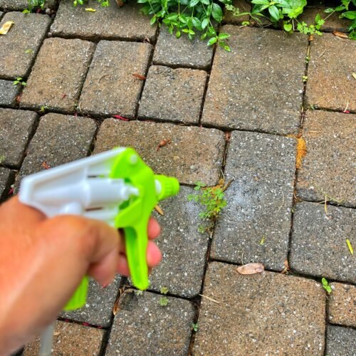 Homemade weed killer