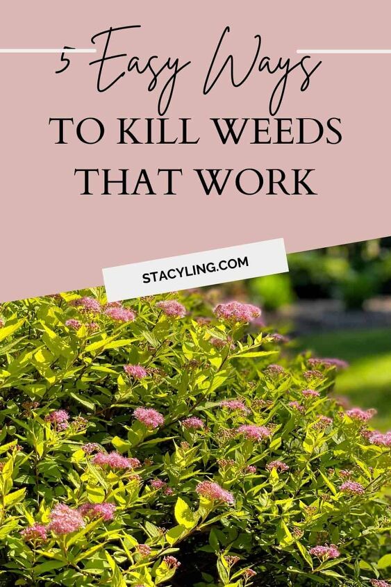 Homemade weed killer