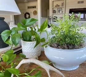 Faux Plants for Indoors