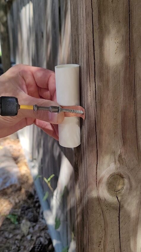 garden plate flowers
