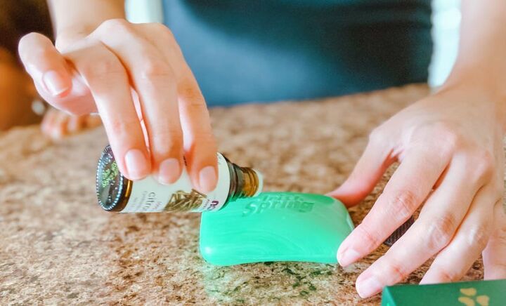 diy fly repellent for porches easy home remedy