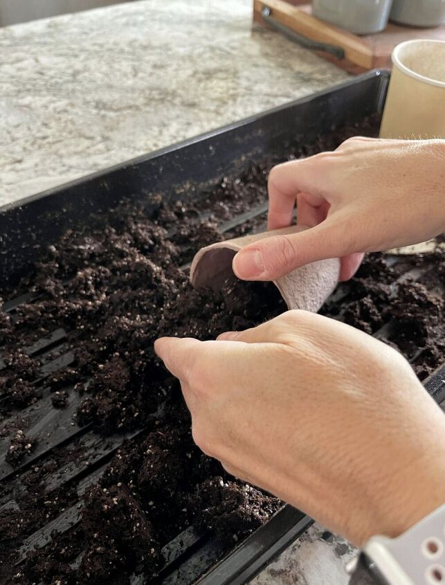 how to grow cucumbers in the vegetable garden, Adding soil to peat pots