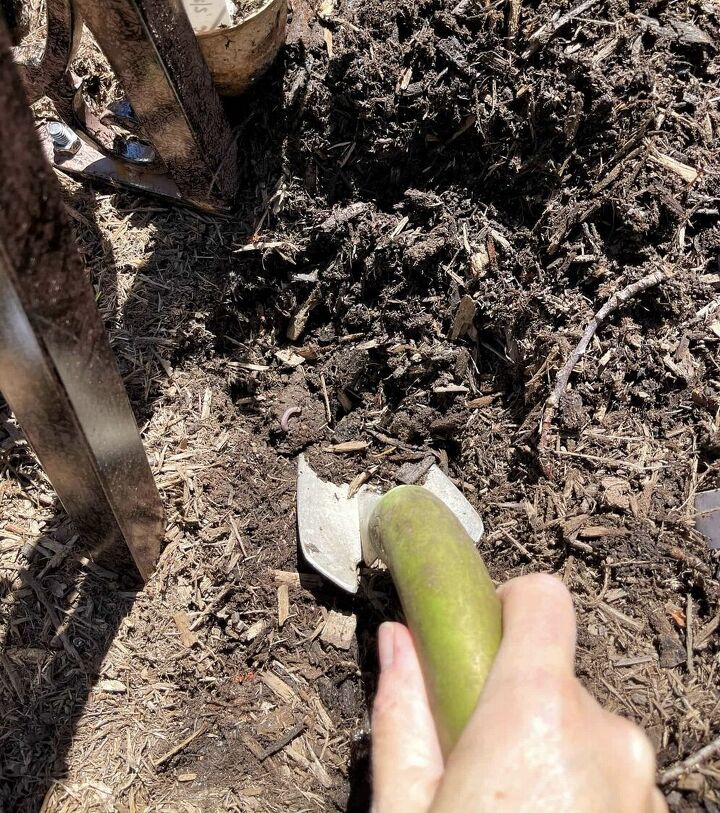 cmo cultivar pepinos en la huerta, Cavar un agujero para plantar pepinos