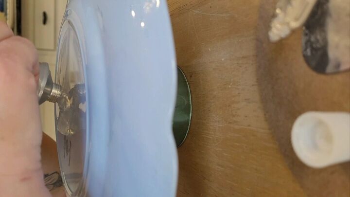 garden plate flowers