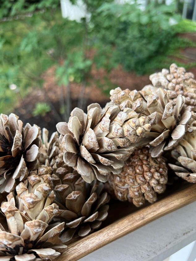 how to bleach pinecones