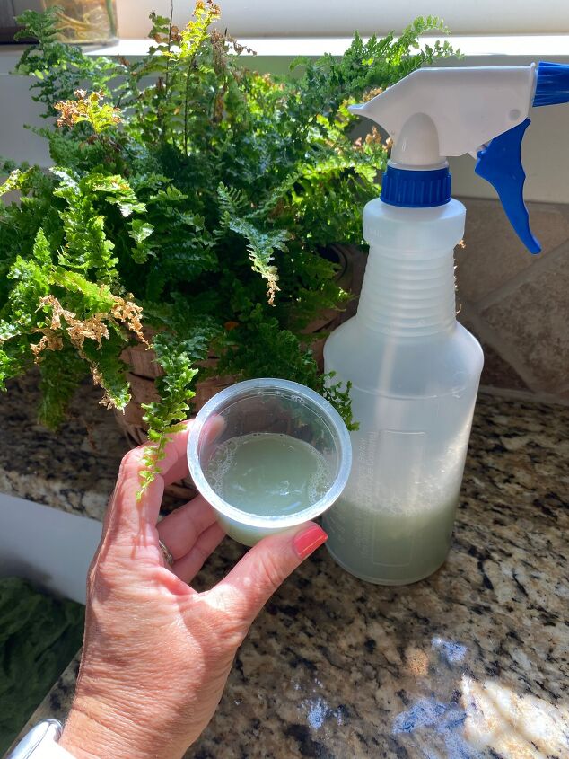 say goodbye to gnats and fruit flies