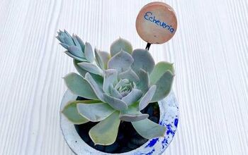Faça estacas de cimento para etiquetas de plantas (faça você mesmo)