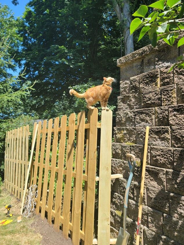 how i turned a broken chain linked fence into a privacy wall