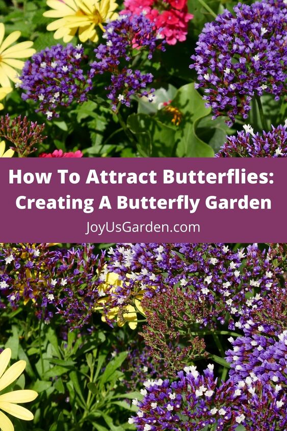 how to attract butterflies creating a butterfly garden