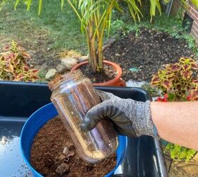 If you've ever lost a plant after repotting it, you'll see why this tip is so important