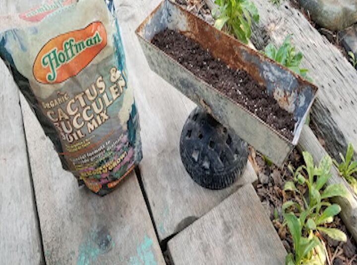 bandeja de cemento a jardinera de suculentas