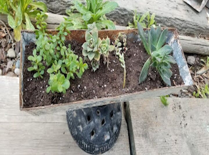 bandeja de cemento a jardinera de suculentas