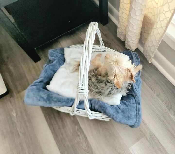 cesta de la cama del perro diy convierte la cama de tu perro en una hermosa