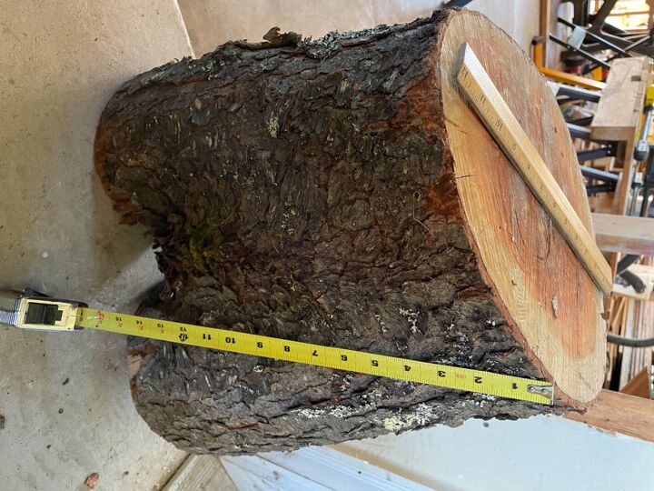 suggestions for a cherry tree stump not in gtound