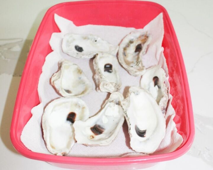 plato de joyera de conchas de ostras pintado por ocean pour