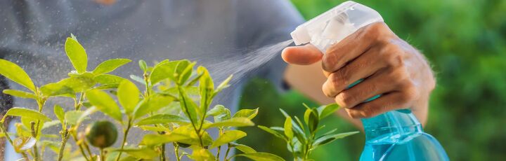 7 consejos de jardinera sostenible para la primavera y el verano, Suministros ecol gicos