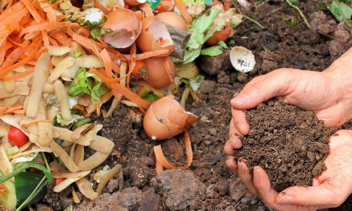 7 consejos de jardinera sostenible para la primavera y el verano