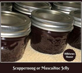 Homemade Scuppernong/Muscadine Grape Jelly