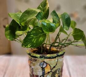 “《““《天体日报》”