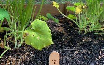 DIY Plant Markers for Your Garden