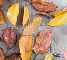 el secreto para hacer una corona de otoo con hojas preservadas, Busca una combinaci n de hojas de magnolia ca das para hacer una corona oto al de hojas preservadas