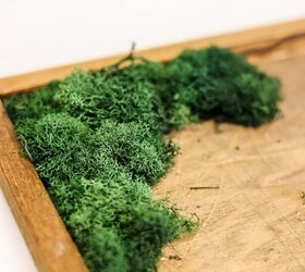 proyecto musgo, musgo de reno verde en el marco de arte