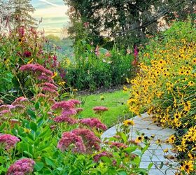 guirnalda para la puerta de entrada con flores frescas de jardn, puesta de sol en el jard n con sedum autumn joy rudbeckia y celosia