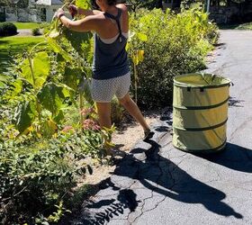 guirnalda para la puerta de entrada con flores frescas de jardn, Cortando cabezas de girasol