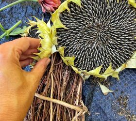 guirnalda para la puerta de entrada con flores frescas de jardn, Meter las cabezas de girasol en la corona de parra