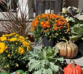 cmo hacer una hermosa corona de pias, expositor de calabazas calabaza naranja calabaza bronce farol grande