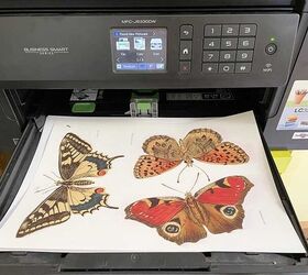 mariposas de pared