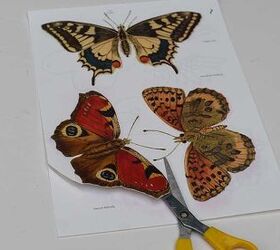 mariposas de pared