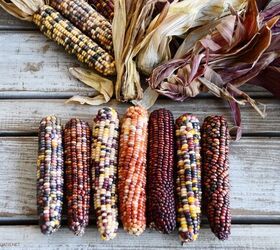 Snap the husks off of corn and grab a vase for a quick and easy way to get a magazine-worthy Thanksgiving table