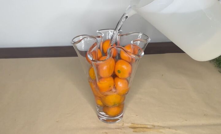 3 easy citrus dcor ideas to upgrade your home for the holidays, Adding water to a vase filled with oranges
