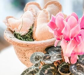 como hacer corazones rusticos para san valentin, POSADO EN MUSGO AL LADO DE CICLAMEN