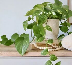 DIY Pottery Barn Pottery by Amy Williams