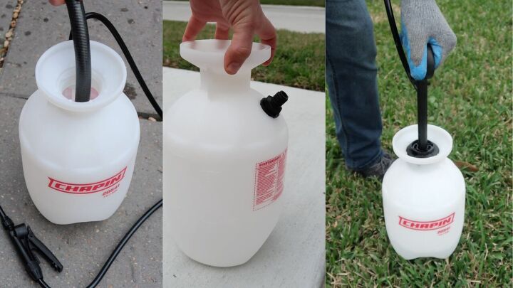 how to solve every gardener s most annoying problem